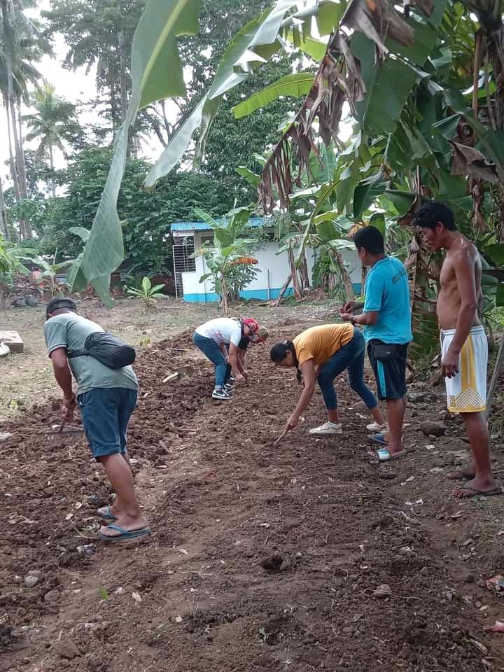 Community Garden