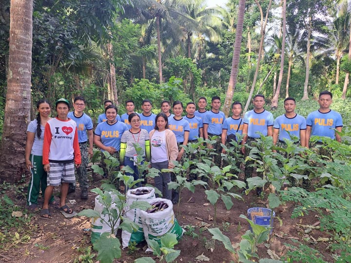 paraoma sa Brgy. Matnog na apektado kan Mayon