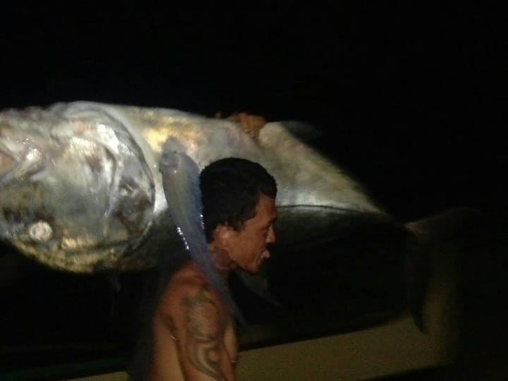 isda nahuli sa Lagonoy, Camarines Sur