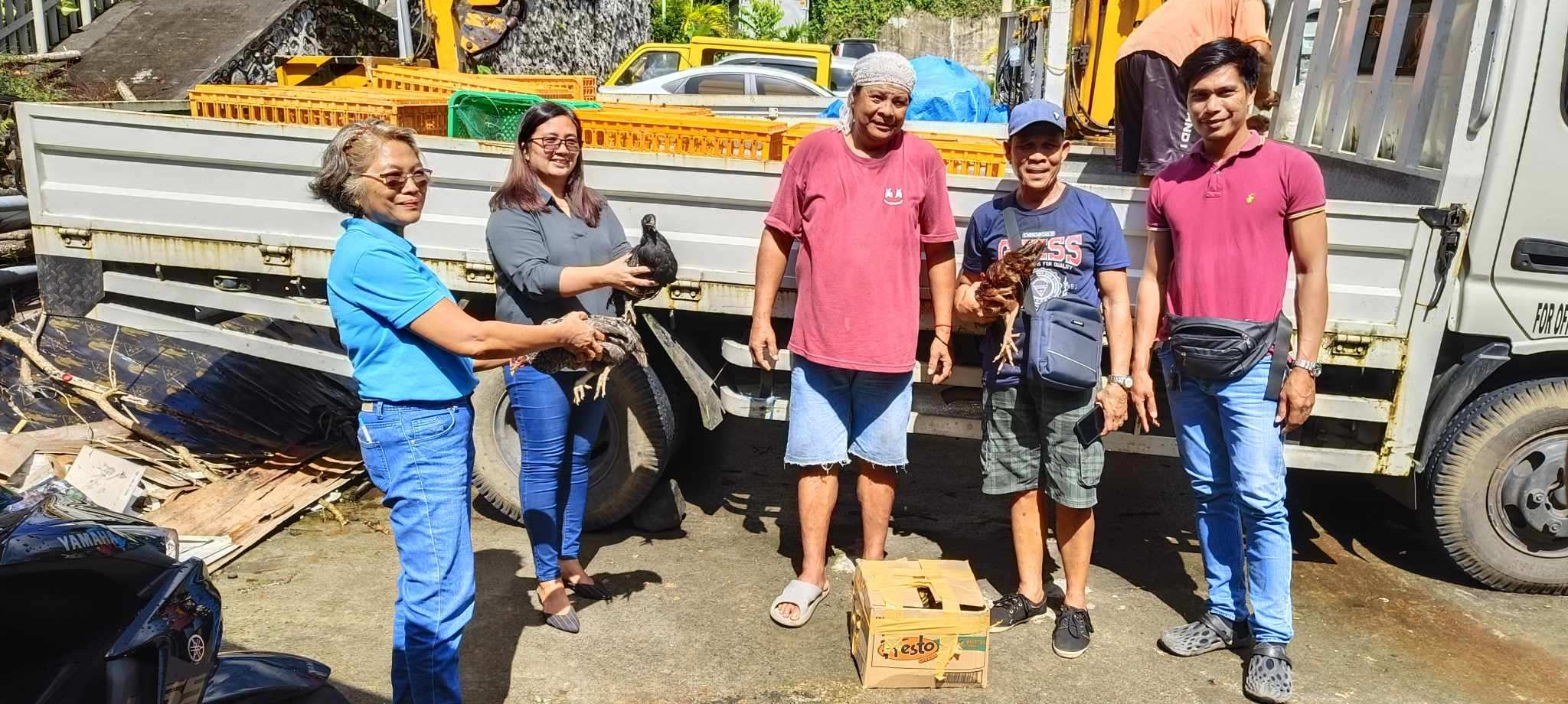 '200 CHICKEN LIVESTOCKS NATANGGAP KAN DARAGA, ALBAY'